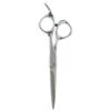 Fromm Explore 5.75 Inch Shear Silver -Image Beauty Shop 6RWl64N