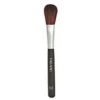 PALLADIO BRUSH BLUSH AB456 2 PALLADIO BRUSH BLUSH AB456 -Image Beauty Shop palladio brush blush ab456 1
