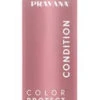 Pravana Color Protect Conditioner -Image Beauty Shop pravana color protect conditioner
