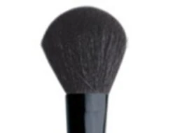 PRESTIGE BRUSH-POWDER BR-109