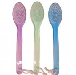 SWISSCO OVAL BATH BRUSH ASSORTED COLORS