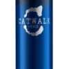 TIGI Catwalk Transforming Dry Shampoo 5.2 Oz -Image Beauty Shop tigi catwalk transforming dry shampoo 5 2 oz 1