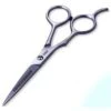 TWEEZERMAN SHEAR 51/2 IN. STAINLESS 2000 7430-P -Image Beauty Shop tweezerman shear 51 2 in stainless 2000 7430 p 1